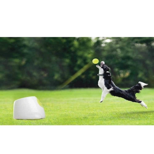 Hyper Fetch Maxi Automatic Dog Ball Launcher