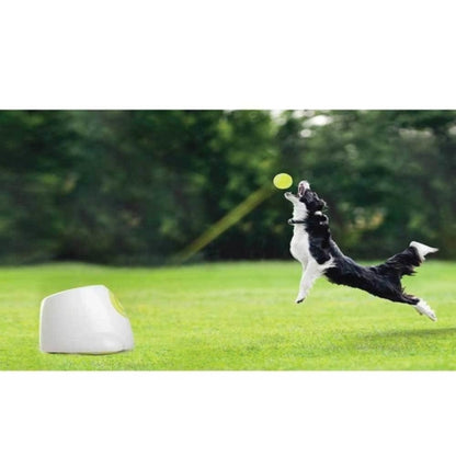 Hyper Fetch Maxi Automatic Dog Ball Launcher