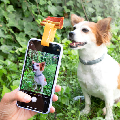 Pet Selfie Phone Clip