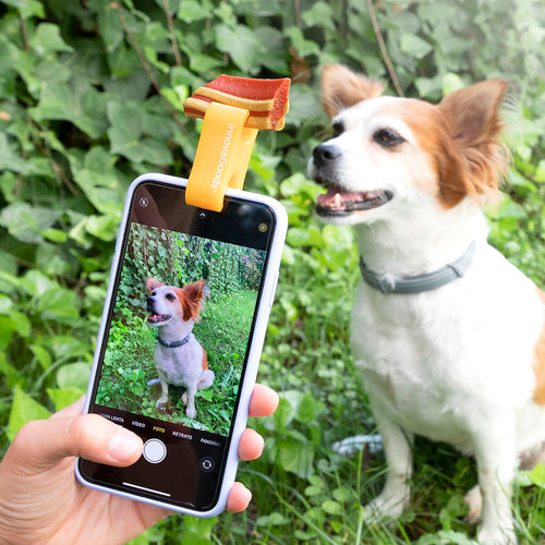 Pet Selfie Phone Clip