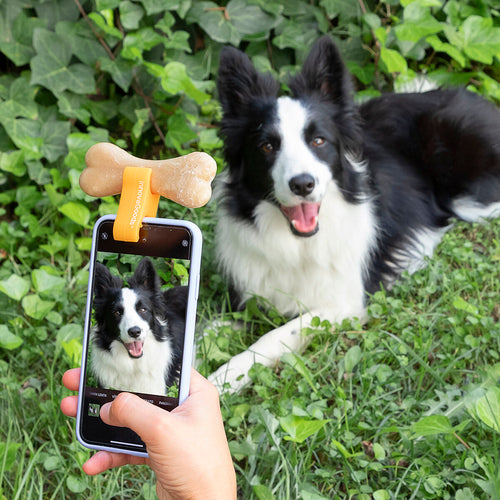Pet Selfie Phone Clip