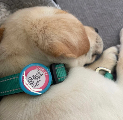 Personalized Silent Twist-On Pet Tag